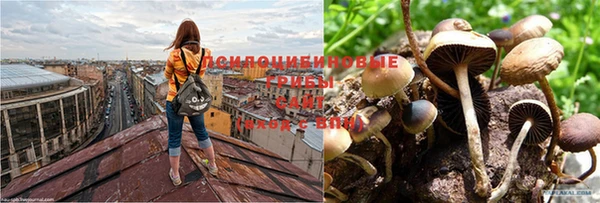 эйфоретик Бугульма