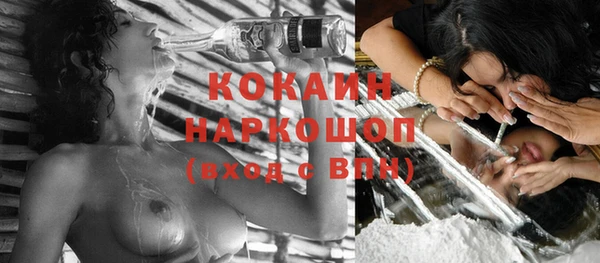 mix Бородино